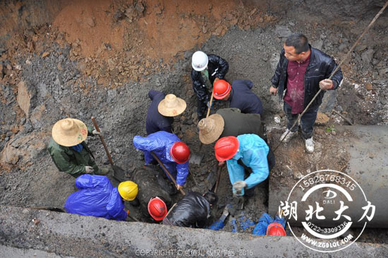 �S��������(zh��n)ʿͽ�֠I�ȱ����ˆT ��ٝ�������硱